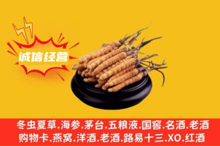 台州仙居县回收冬虫夏草